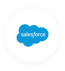 Icon saleforce